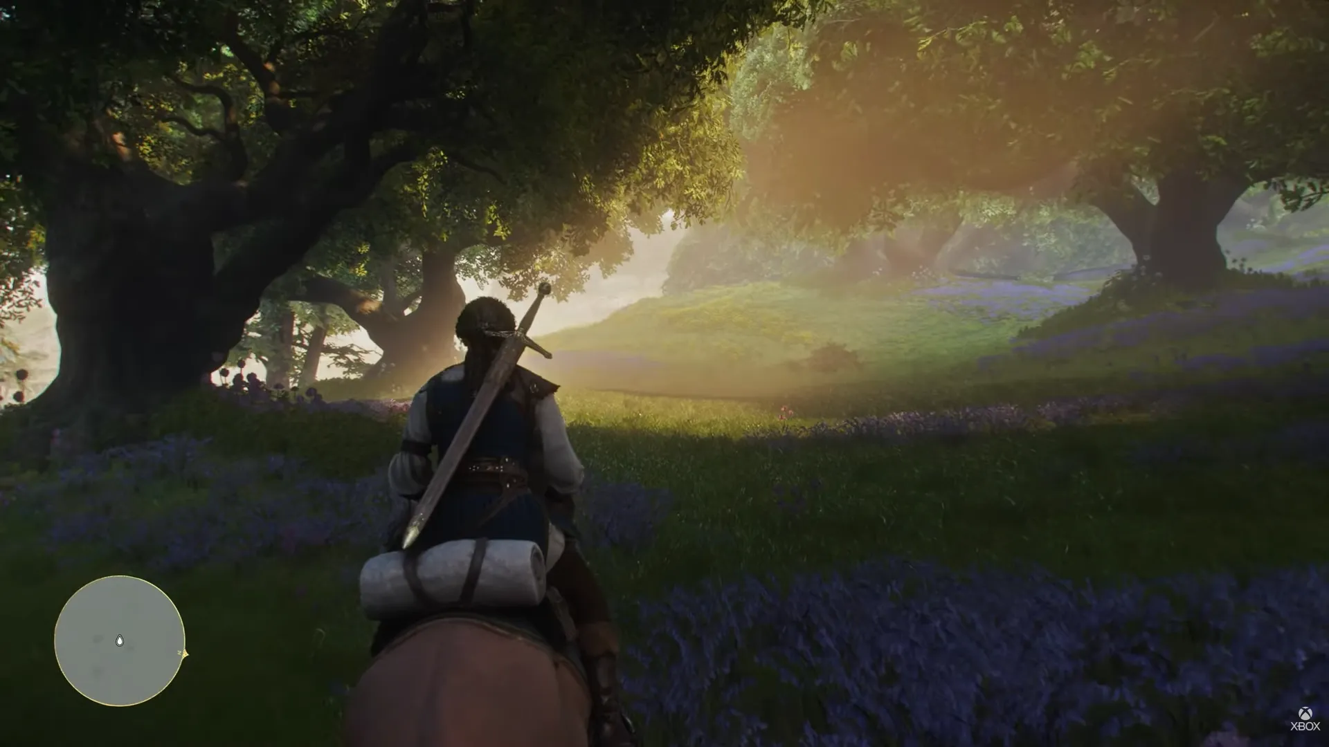 年美加墨世,界杯门票购,买攻略,2026FIFA世界杯主办国,2026FIFA世界杯,2026,年世界杯赛程