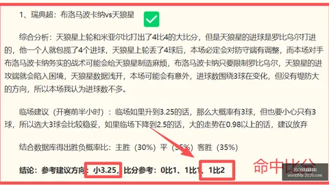 2026年美加墨世界杯 123532 9