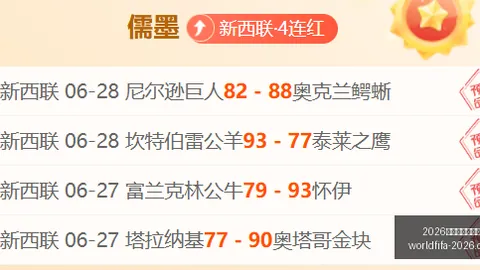2026年美加墨世界杯 131616