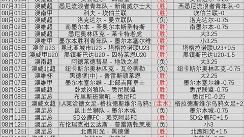 2026年美加墨世界杯